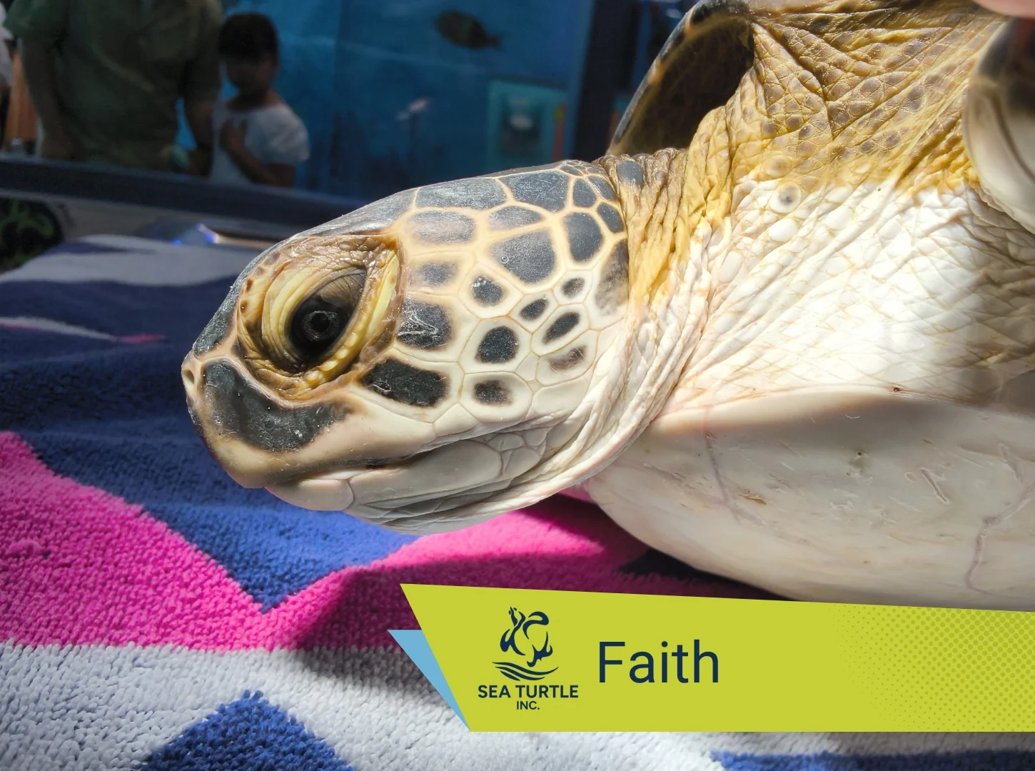 Thumbnail 42